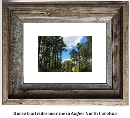 horse trail rides near me in Angier, North Carolina